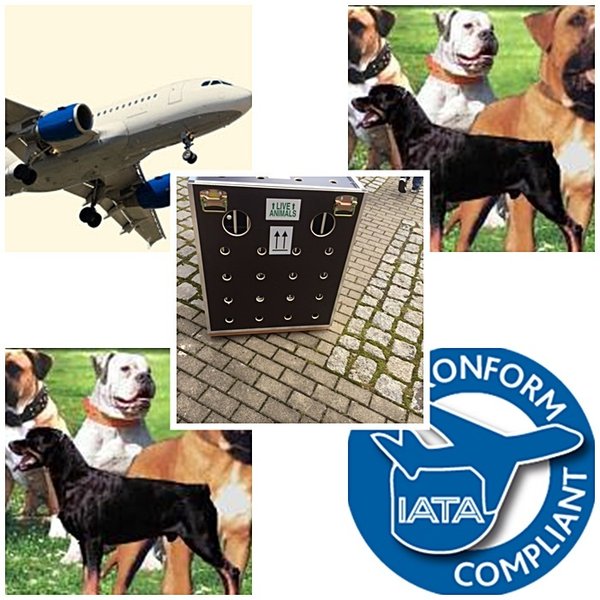 Flugboxen für Listenhunde nach der IATA Vorschrift 82